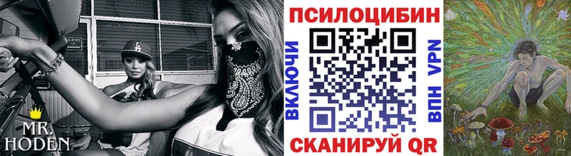 OMG   Кукмор  Псилоцибиновые грибы Psilocybine cubensis 